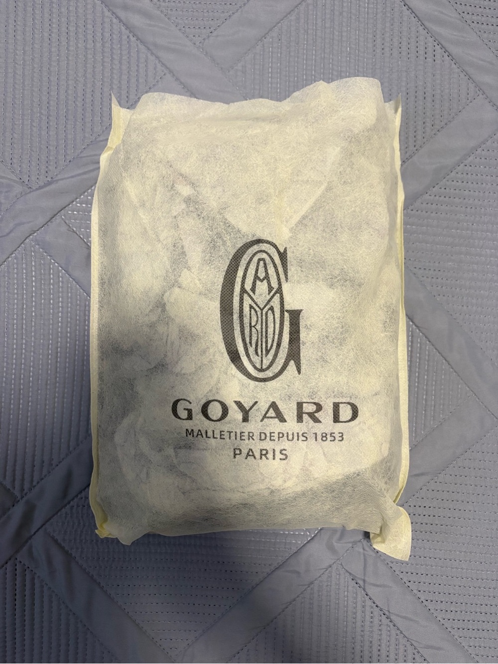 Goyard Men’s Bag